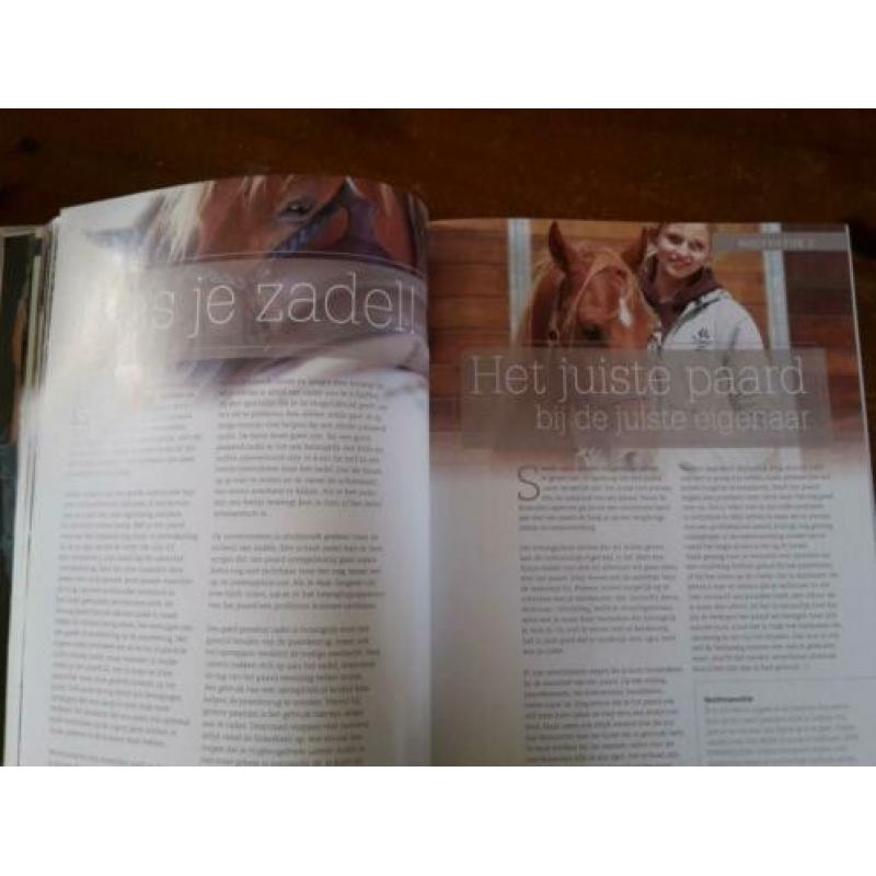 Kijken door de ogen van het paard, Annemarie van der Toorn
