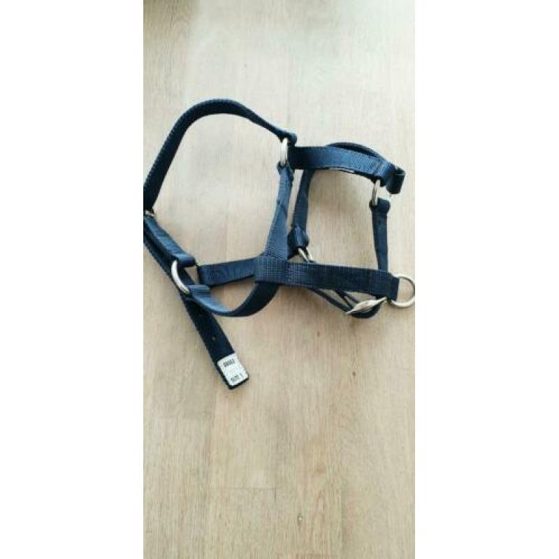 halsters samen, of apart