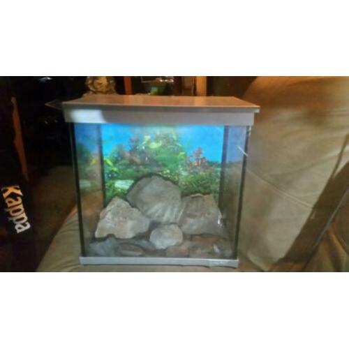 Completen aqariums met pomp