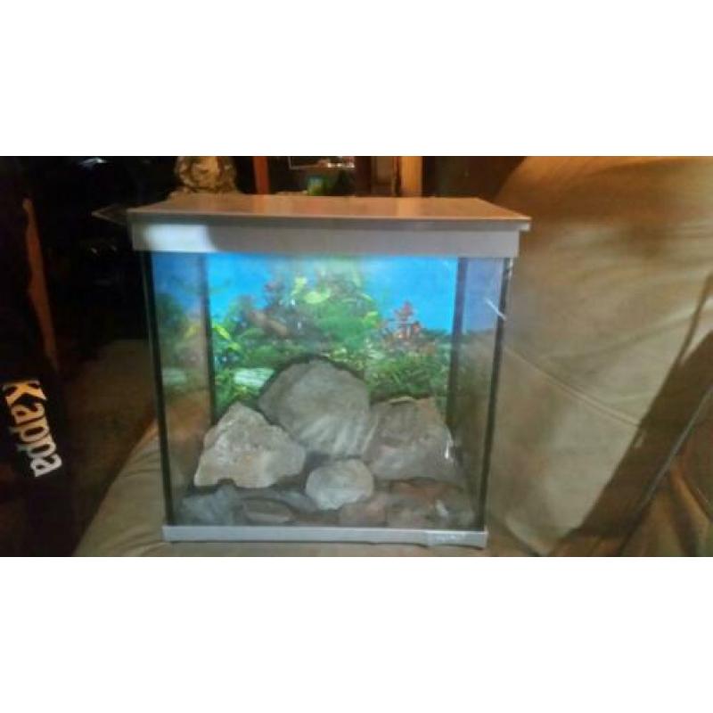 Completen aqariums met pomp