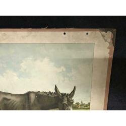 Lummel | Ezel en Bok | Schoolplaat | Wandplaat
