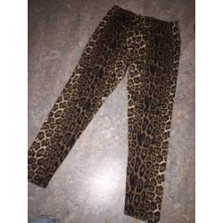Dames tijgerbroek broeklegging.