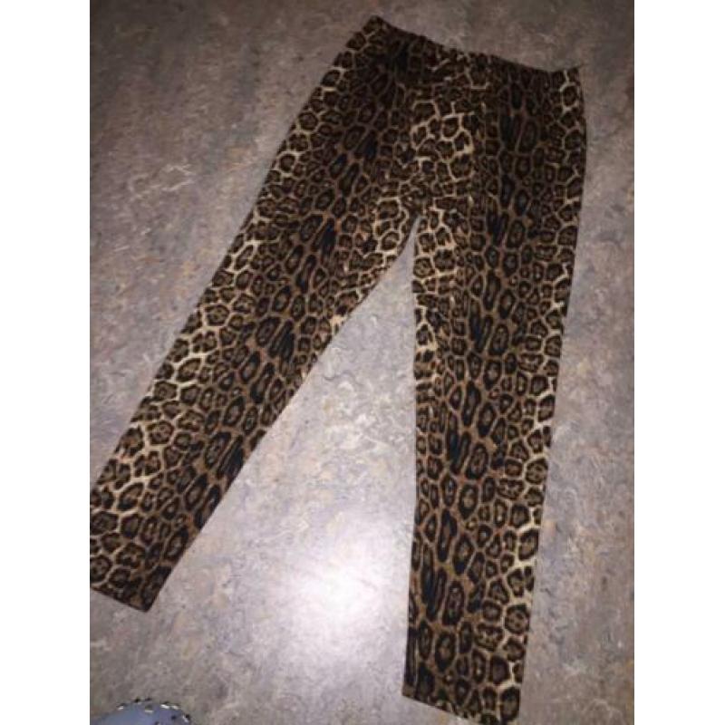 Dames tijgerbroek broeklegging.