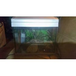 Completen aqariums met pomp