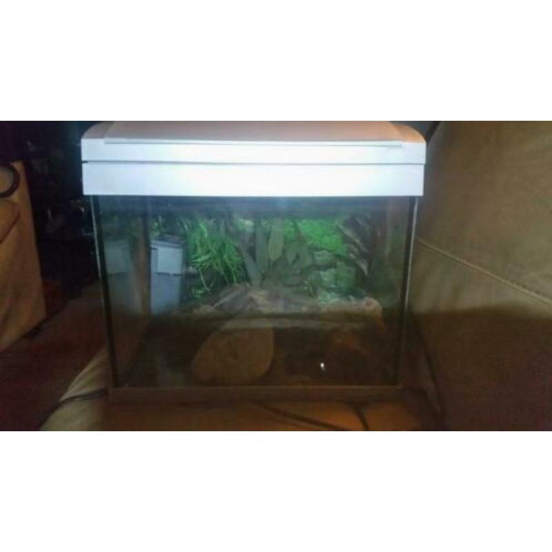 Completen aqariums met pomp