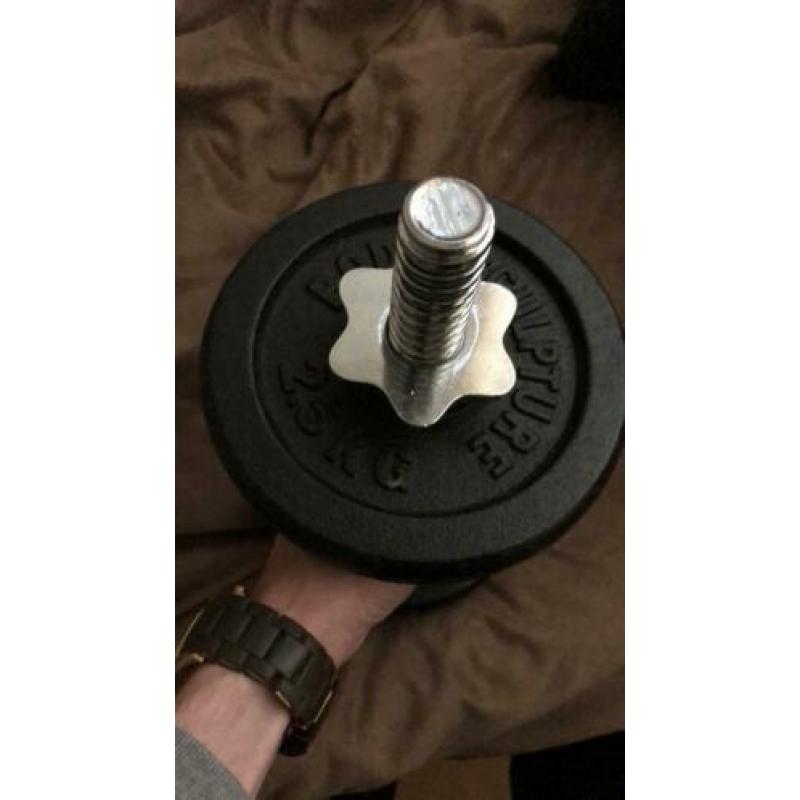 Dumbells set