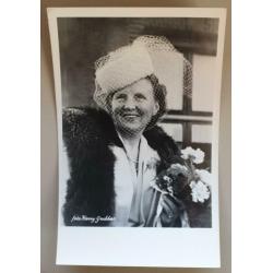 Kaart ansichtkaart foto Juliana Koninklijk Huis (150)
