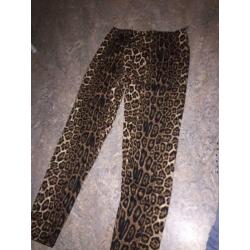 Dames tijgerbroek broeklegging.