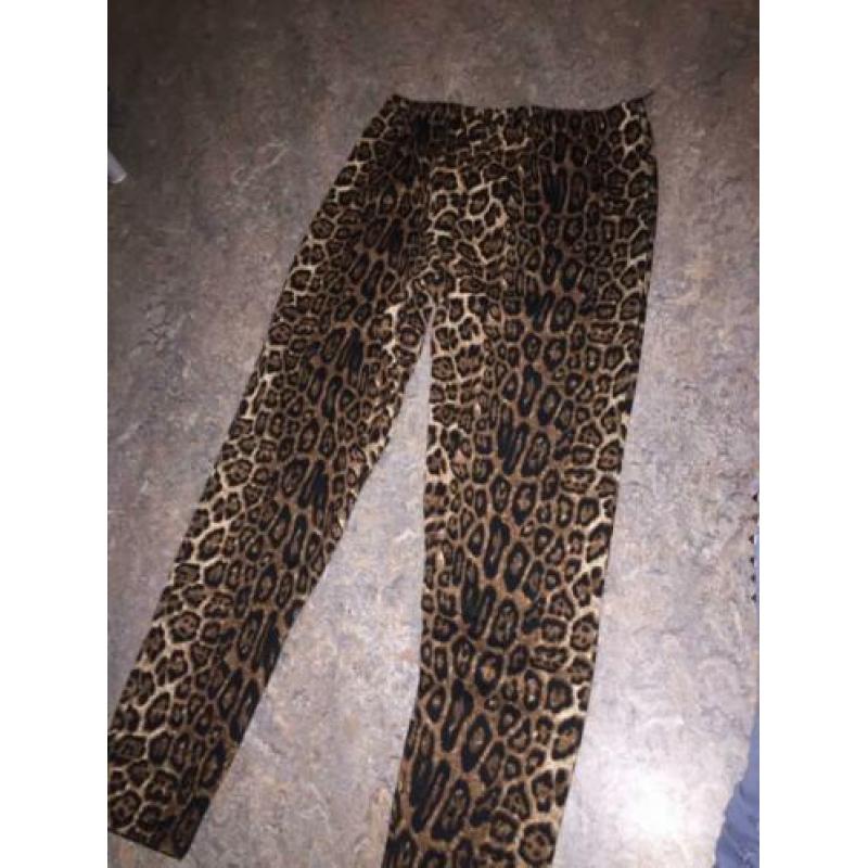 Dames tijgerbroek broeklegging.