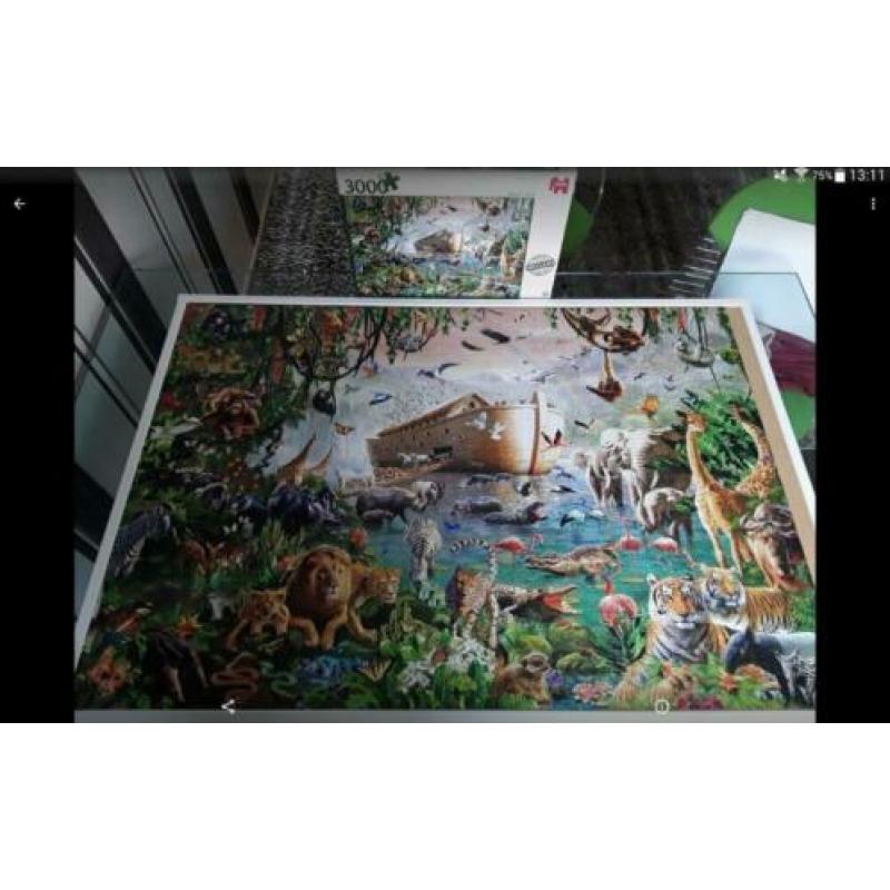 Jumbo puzzel De Ark 3000 stukjes