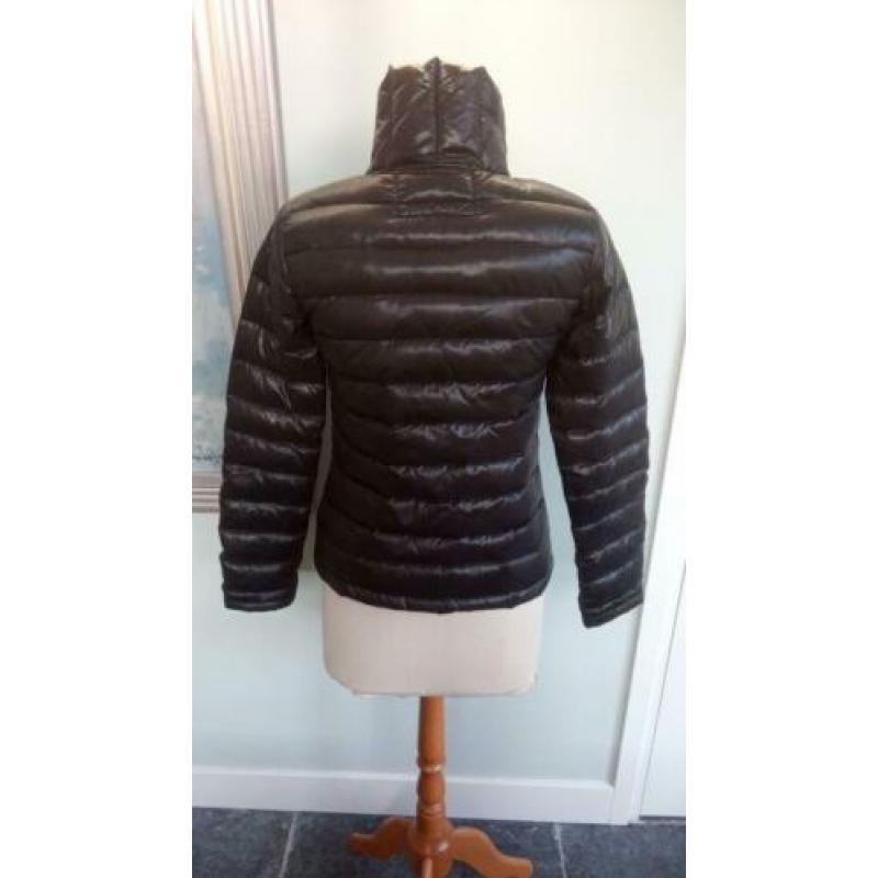 Maison Scotch damesjas dons,voorjaar/winter mt.1/36 z.g.a.n.
