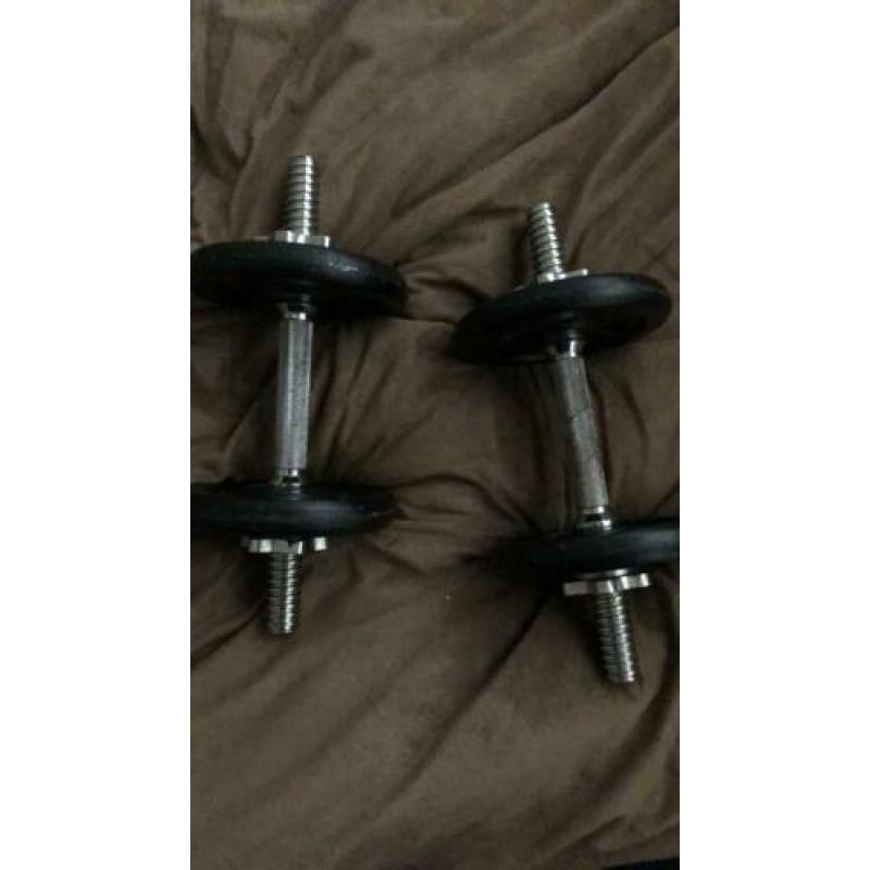 Dumbells set