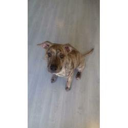Onze lieve ramsey van 9 maandjes