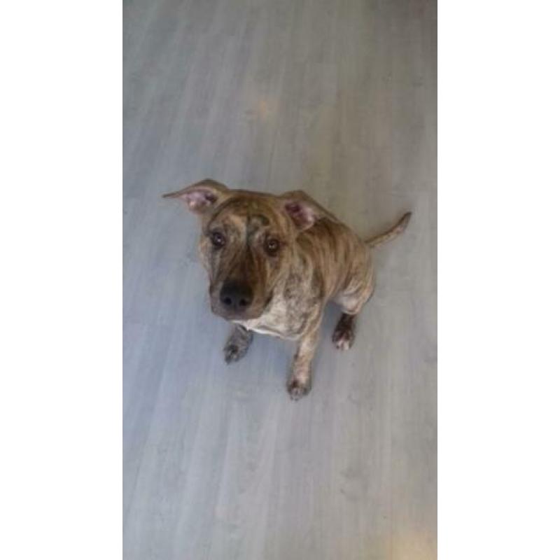 Onze lieve ramsey van 9 maandjes