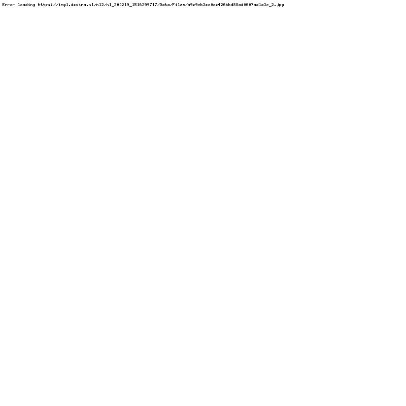 Shimano karper hengel 13 ft