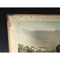 Lummel | Ezel en Bok | Schoolplaat | Wandplaat