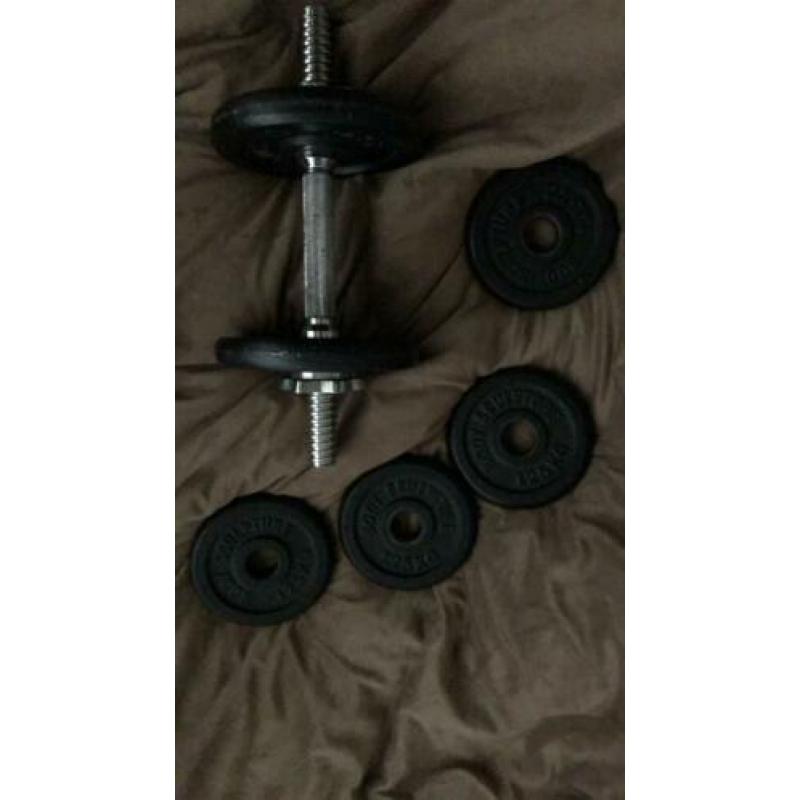 Dumbells set