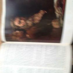 Holy bible