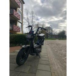 Nette citta gilera