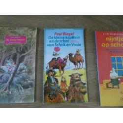 De kleine kapitein en de schat van schrik en vreze van Paul