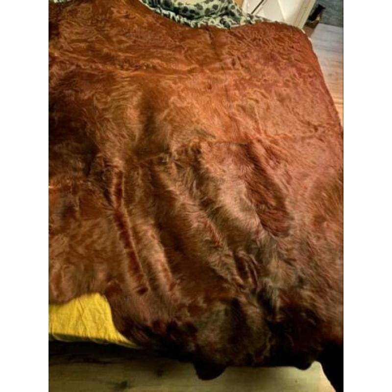 Koeienkleed koeienhuid cognac
