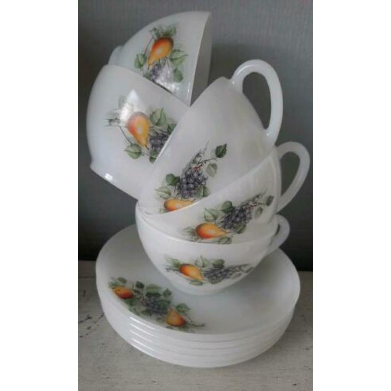 5 arcopal kop en schotels, Fleur de France
