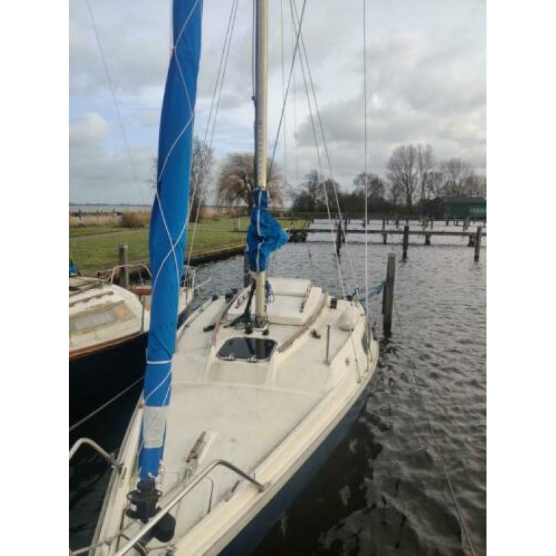 Edel IV