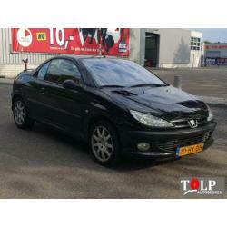 Peugeot 206 CC 2.0-16V bj 2002 Leder Ecc clima