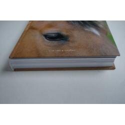 Paardenvolk in West-Brabant
