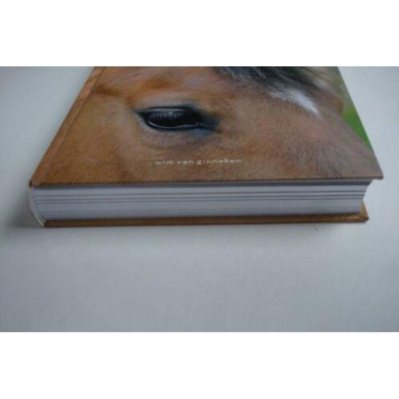 Paardenvolk in West-Brabant