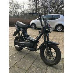 Nette citta gilera