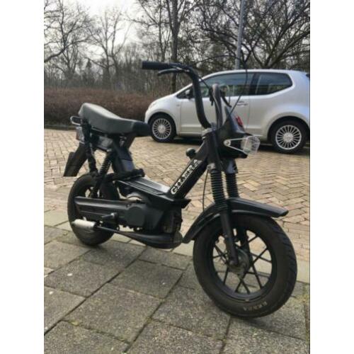 Nette citta gilera