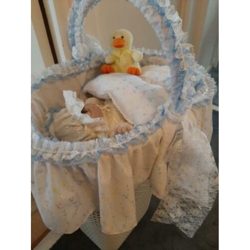 Little Ducky