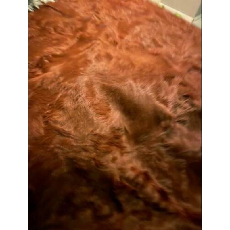 Koeienkleed koeienhuid cognac