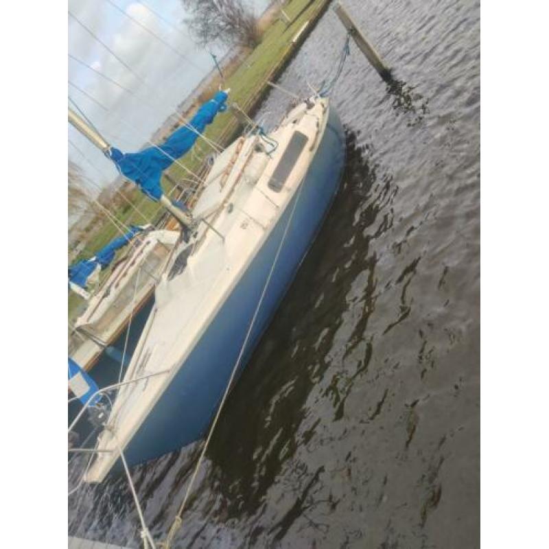 Edel IV
