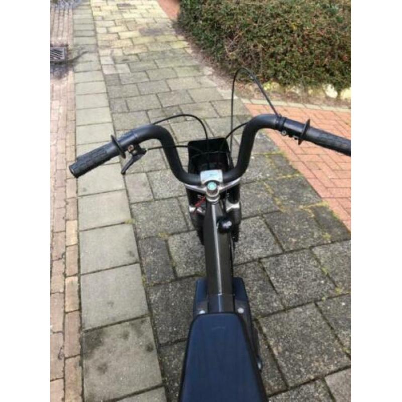 Nette citta gilera