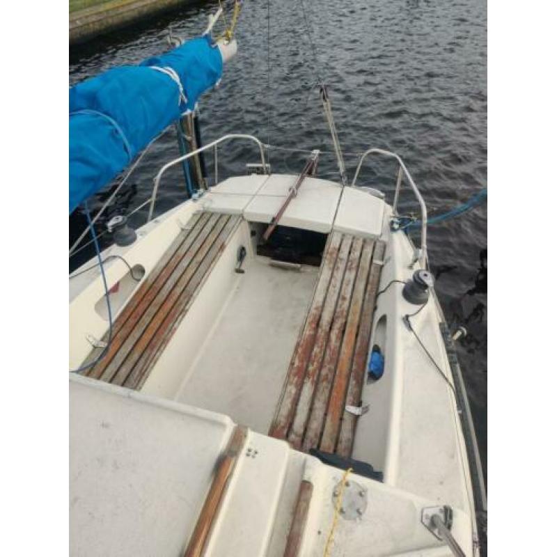 Edel IV