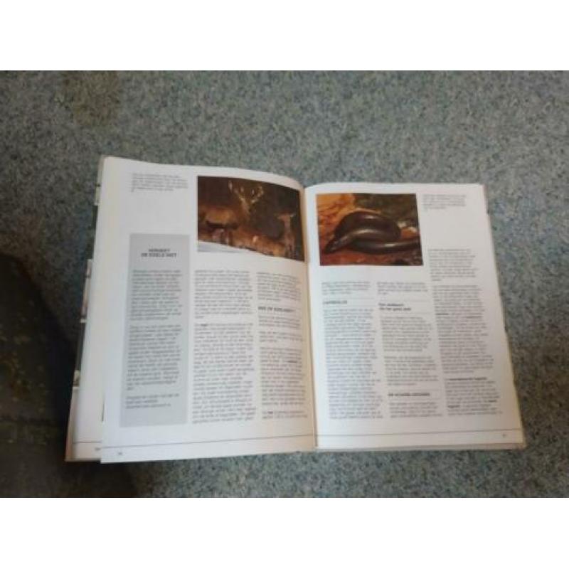 Plaatjes boeken