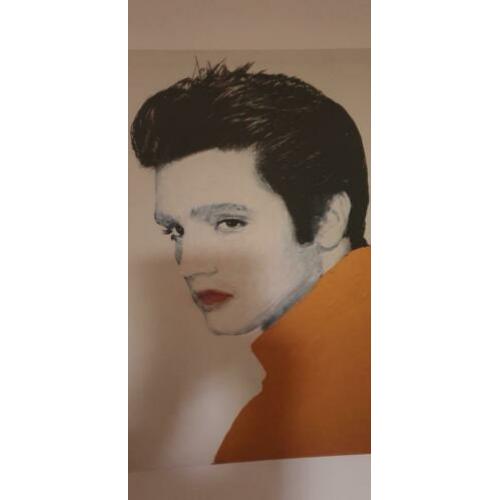 Eigen kunst. Elvis Presley. 55cmx40cm.