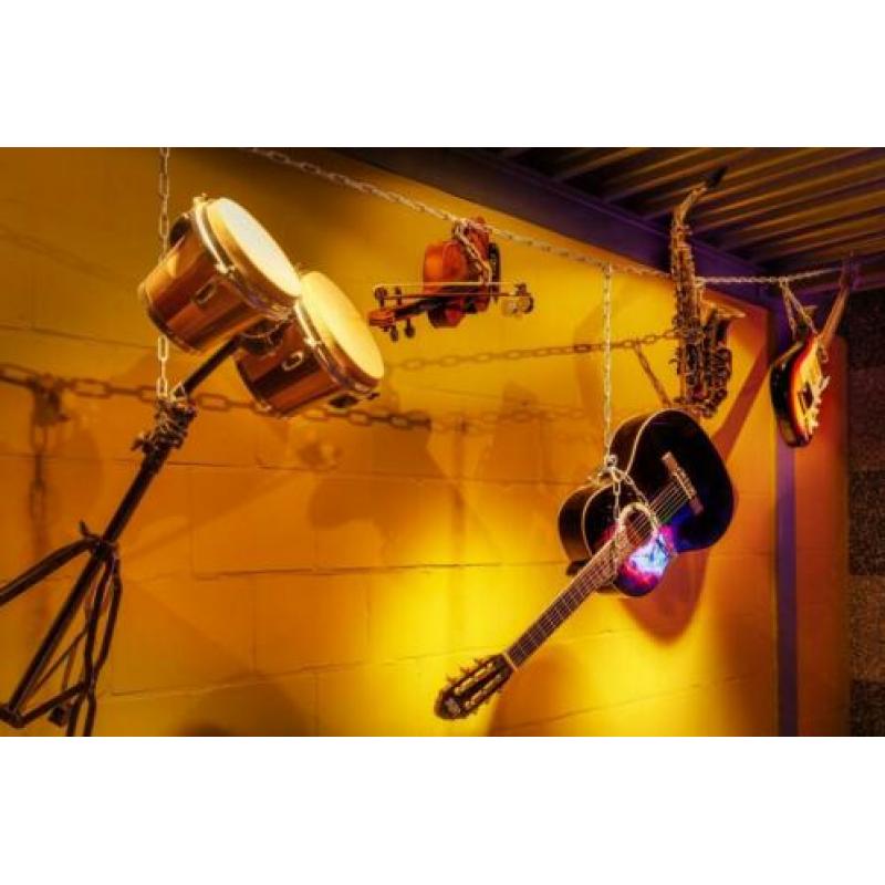 Sirius D200 D 200 SHIPPING! (GamuT) Garantie & inruil Sessie