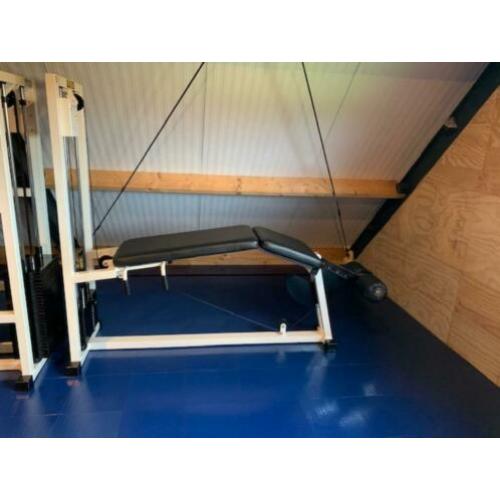 TechnoGym Isotonic Line Lying Leg Curl