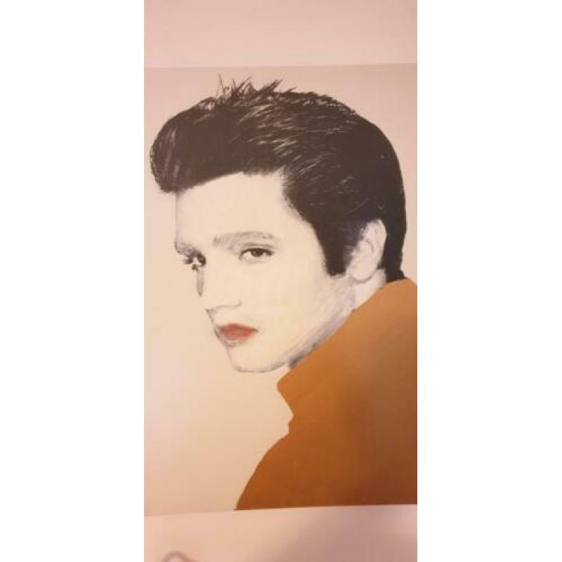 Eigen kunst. Elvis Presley. 55cmx40cm.