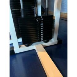 TechnoGym Isotonic Line Lying Leg Curl