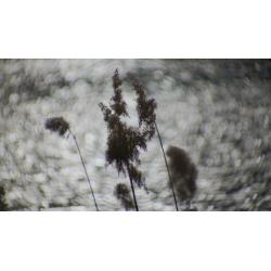 Leica ELMARON 150 mm 2.8 Leitz Wetzlar , Groot Formaat
