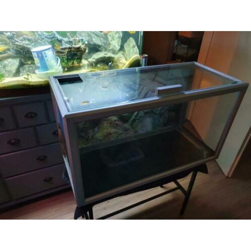 Mooie 80cm aquarium