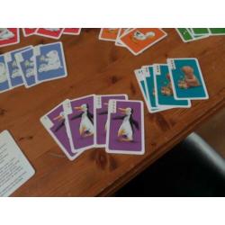 kleine ijsbeer kwartet spel selecta