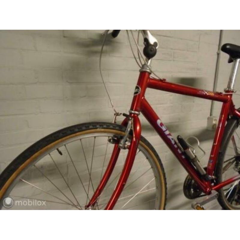 Giant HYBRIDE 55 CM