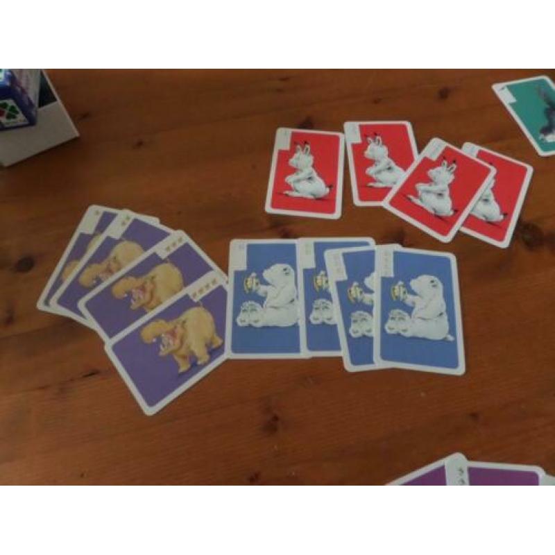 kleine ijsbeer kwartet spel selecta