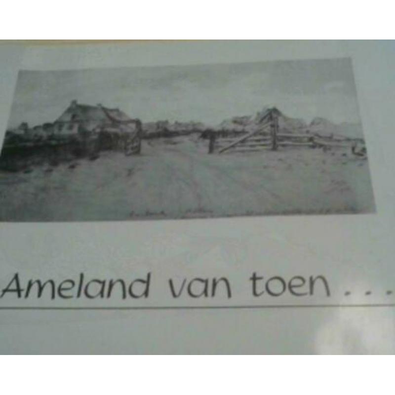 Ameland