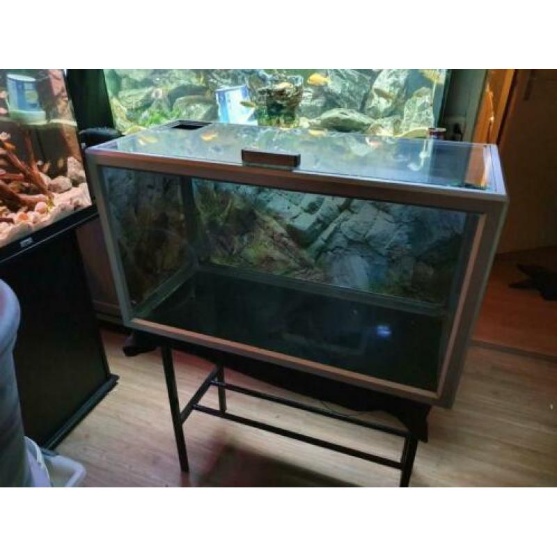 Mooie 80cm aquarium